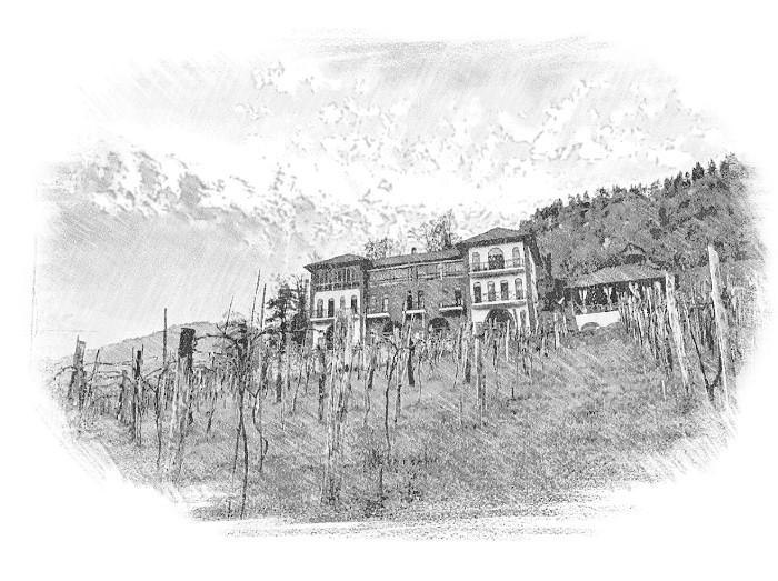 Chateau Iveri Building with vineyard draw effect